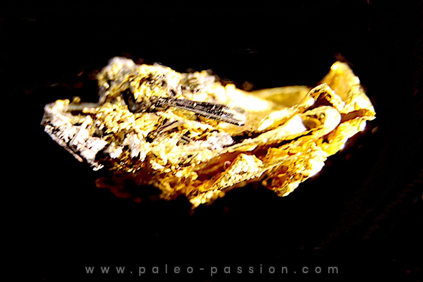 native gold Olinghouse Mine, Washoe County, Nevada, USA