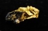 native gold Olinghouse Mine, Washoe County, Nevada, USA