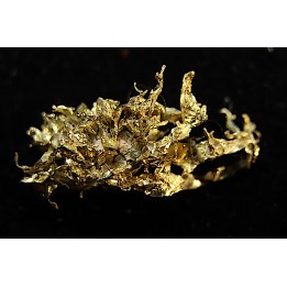 native gold  Olinghouse Mine, Washoe County, Nevada, USA