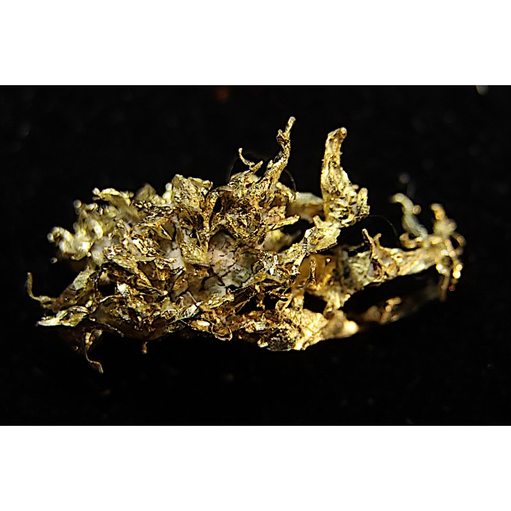 native gold  Olinghouse Mine, Washoe County, Nevada, USA