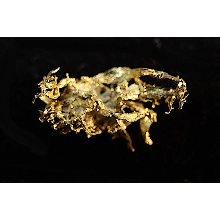native gold  Olinghouse Mine, Washoe County, Nevada, USA