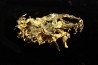 native gold  Olinghouse Mine, Washoe County, Nevada, USA