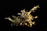 or natif Olinghouse Mine, Washoe County, Nevada, USA