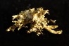 native gold Olinghouse Mine, Washoe County, Nevada, USA