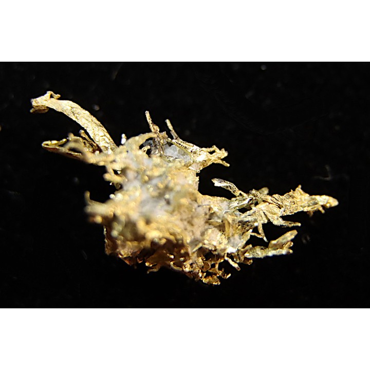 native gold  Olinghouse Mine, Washoe County, Nevada, USA