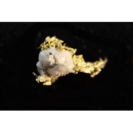native gold  Olinghouse Mine, Washoe County, Nevada, USA