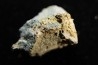 or natif  Olinghouse Mine, Washoe County, Nevada, USA
