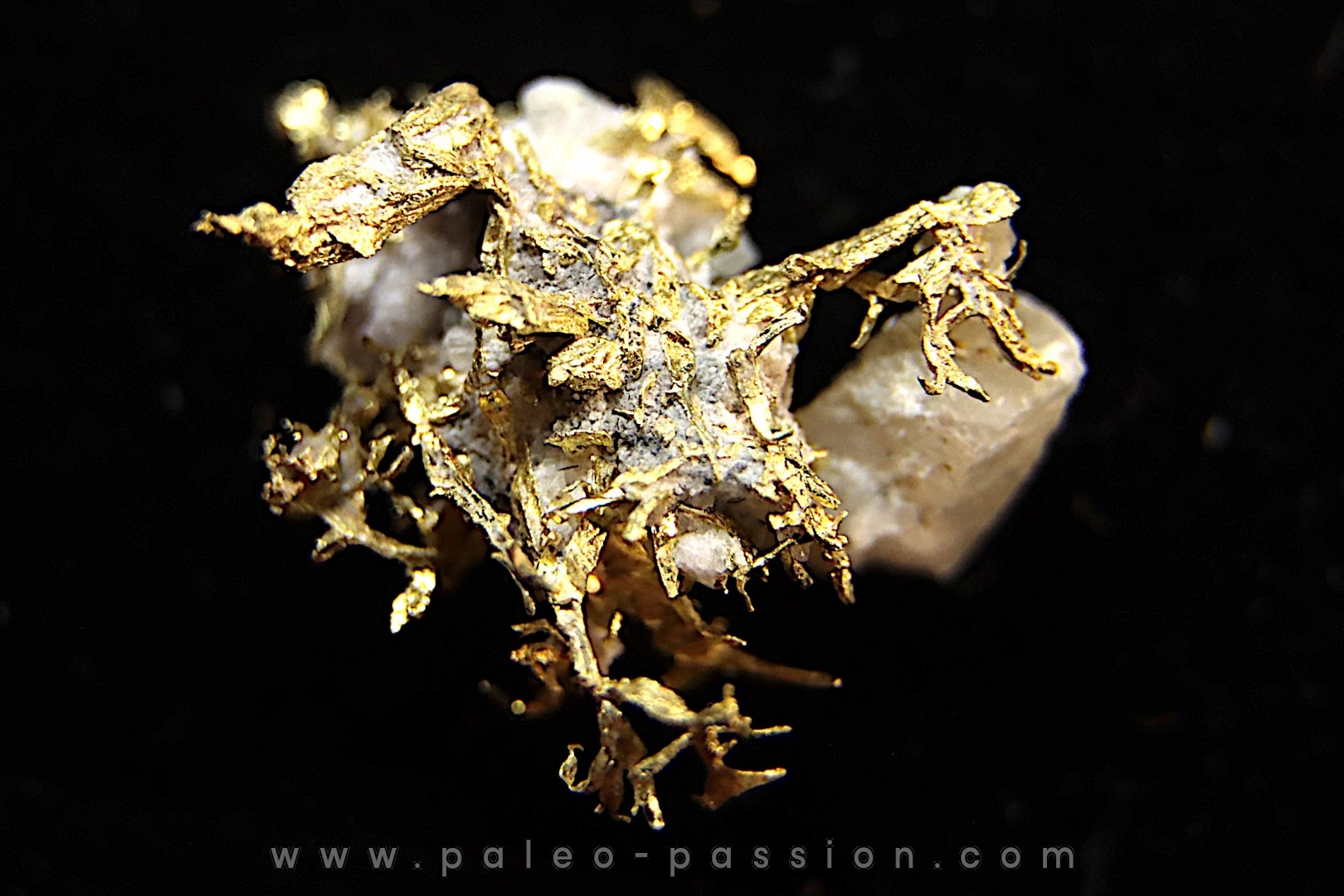 native gold Olinghouse Mine, Washoe County, Nevada, USA