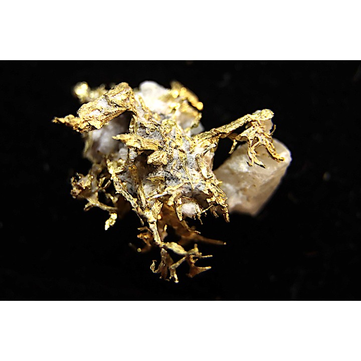 native gold  Olinghouse Mine, Washoe County, Nevada, USA