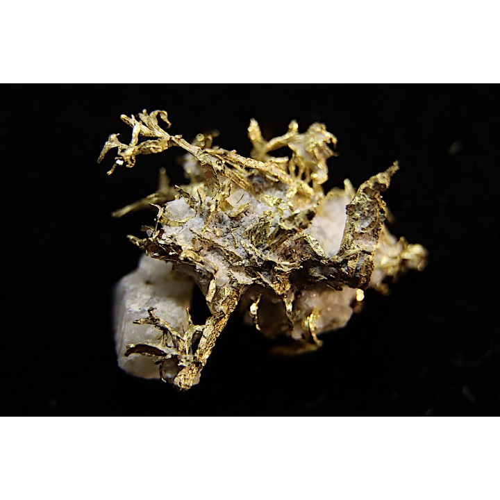 or natif  Olinghouse Mine, Washoe County, Nevada, USA