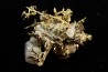 or natif Olinghouse Mine, Washoe County, Nevada, USA