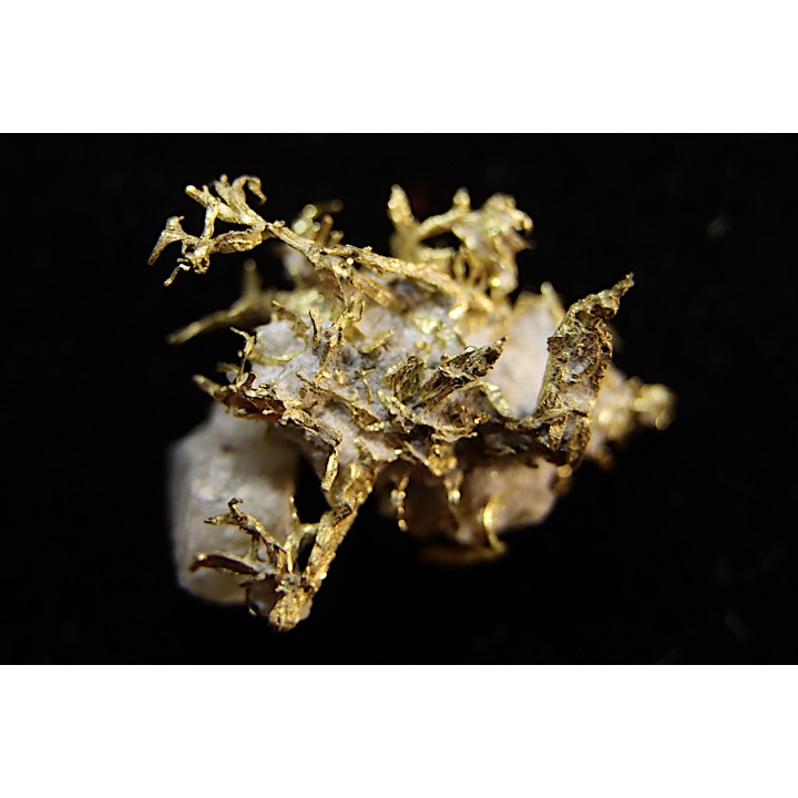 native gold  Olinghouse Mine, Washoe County, Nevada, USA