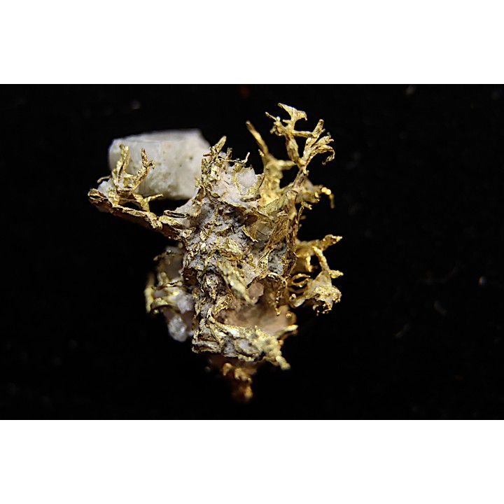 native gold  Olinghouse Mine, Washoe County, Nevada, USA