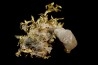 or natif Olinghouse Mine, Washoe County, Nevada, USA