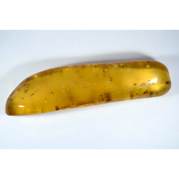 Copal: Nombreux petits hyménoptères + divers coléoptères - Antsiranana, Madagascar