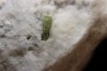 Tourmaline Lengenbach, Suisse