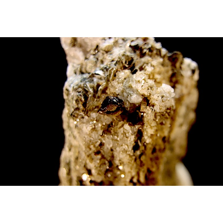 macle de titanite - col  de l'albrun, Binn, Valais, Suisse