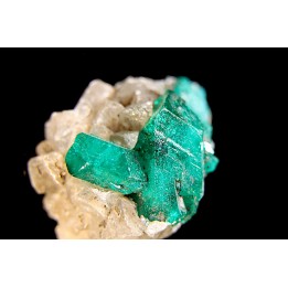 Dioptase - Altyn, tyube area, Bukhar, Karaganda region - KAZAKHSTAN