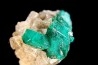 Dioptase - Altyn, tyube area, Bukhar, Karaganda region - KAZAKHSTAN