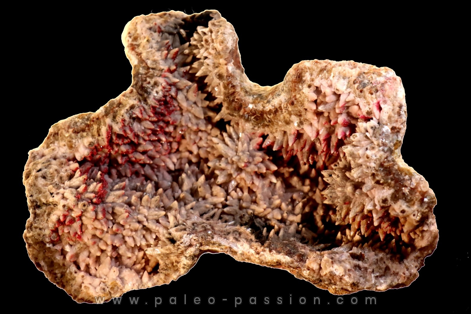 geode de calcite cobaltifere recouverte de roselite - bou azzer - Maroc
