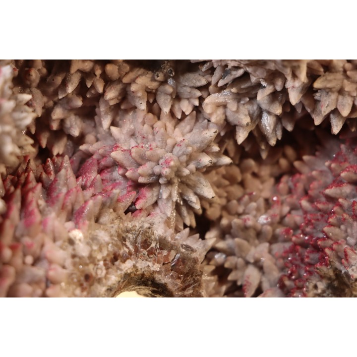 geode de calcite cobaltifere recouverte de roselite - bou azzer - Maroc
