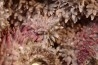 geode de calcite cobaltifere recouverte de roselite - bou azzer - Maroc
