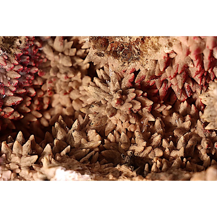 geode de calcite cobaltifere recouverte de roselite - bou azzer - Maroc