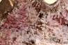 cobaltiferous calcite geode with roselite - Bou Azzer - Morocco