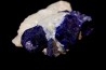 Hauyne var lapis lazulite  Sar e Sang - AFGHANISTAN