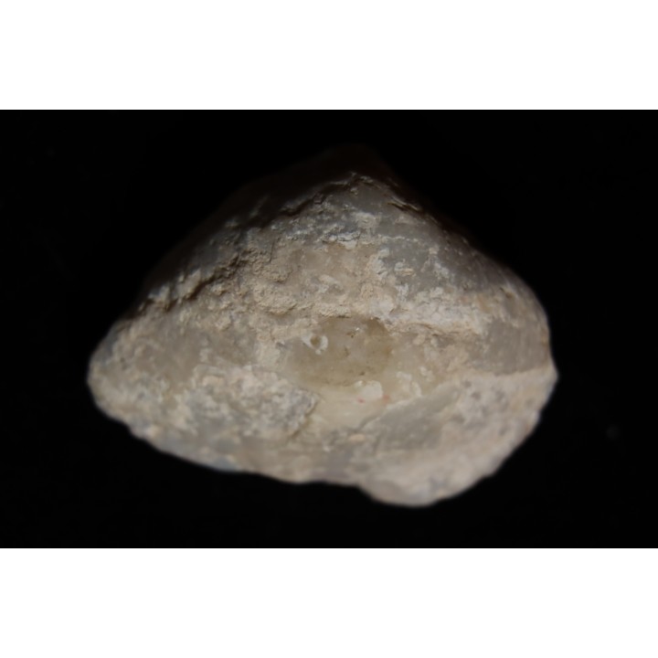 opalized bivalve:  Cyrenopsis australiensis - Aptian - Coober Pedy - Australia
