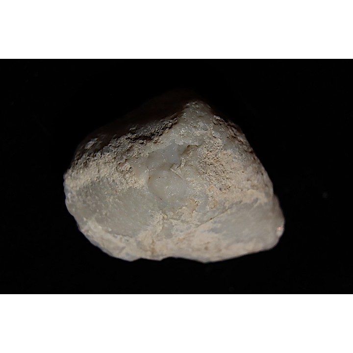 opalized bivalve:  Cyrenopsis australiensis - Aptian - Coober Pedy - Australia