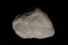 opalized bivalve: Cyrenopsis australiensis - Aptian - Coober Pedy - Australia