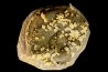 ammonite perisphinctes recouverte de calcite et dolomite en selle  oxfordien - Remusat, Drome, FRANCE