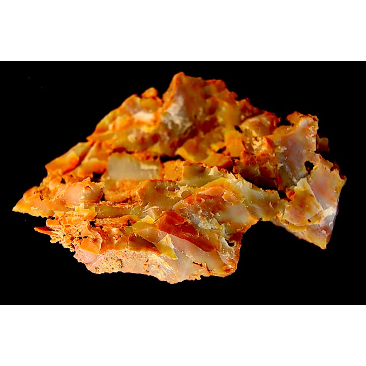 GROUTITE - RAMSDELLITE sur bois fossile  ARAUCARIOXYLON  Chinle Formation  Trias  ARIZONA - USA