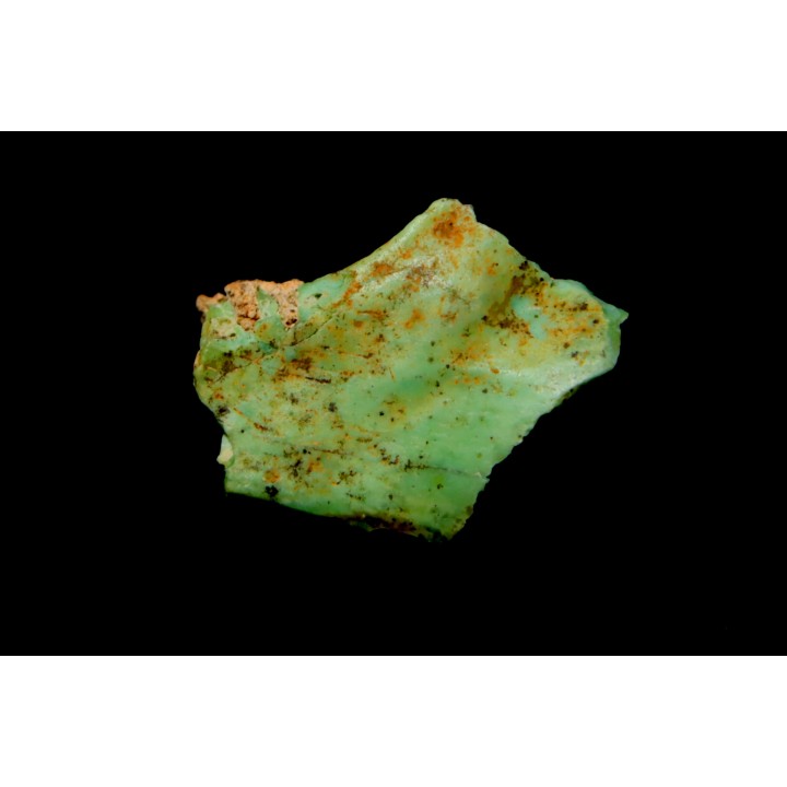 bones set pseudomorphe TURQUOISE odontolite  - pleistocene  Searchlight, Potosi Mountain area, Clark County - Nevada, USA