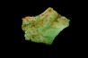 Lot d'os de mammifères pseudomorphosés en TURQUOISE odontolite - pléistocène - Potosi Mountain Nevada, USA