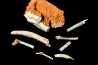 Lot d'os de mammifères pseudomorphosés en TURQUOISE odontolite - pléistocène - Potosi Mountain Nevada, USA