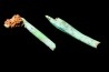 Lot d'os de mammifères pseudomorphosés en TURQUOISE odontolite - pléistocène - Potosi Mountain Nevada, USA
