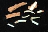 bones set pseudomorphe TURQUOISE odontolite - pleistocene Searchlight, Potosi Mountain area, Clark County - Nevada, USA