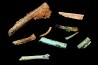 bones set pseudomorphe TURQUOISE odontolite - pleistocene Searchlight, Potosi Mountain area, Clark County - Nevada, USA