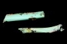 bones set pseudomorphe TURQUOISE odontolite - pleistocene Searchlight, Potosi Mountain area, Clark County - Nevada, USA