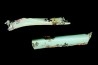 bones set pseudomorphe TURQUOISE odontolite - pleistocene Searchlight, Potosi Mountain area, Clark County - Nevada, USA