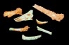 bones set pseudomorphe TURQUOISE odontolite  - pleistocene  Searchlight, Potosi Mountain area, Clark County - Nevada, USA