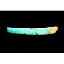 Lot d'os de mammifères pseudomorphosés en TURQUOISE odontolite - pléistocène - Potosi Mountain  Nevada, USA