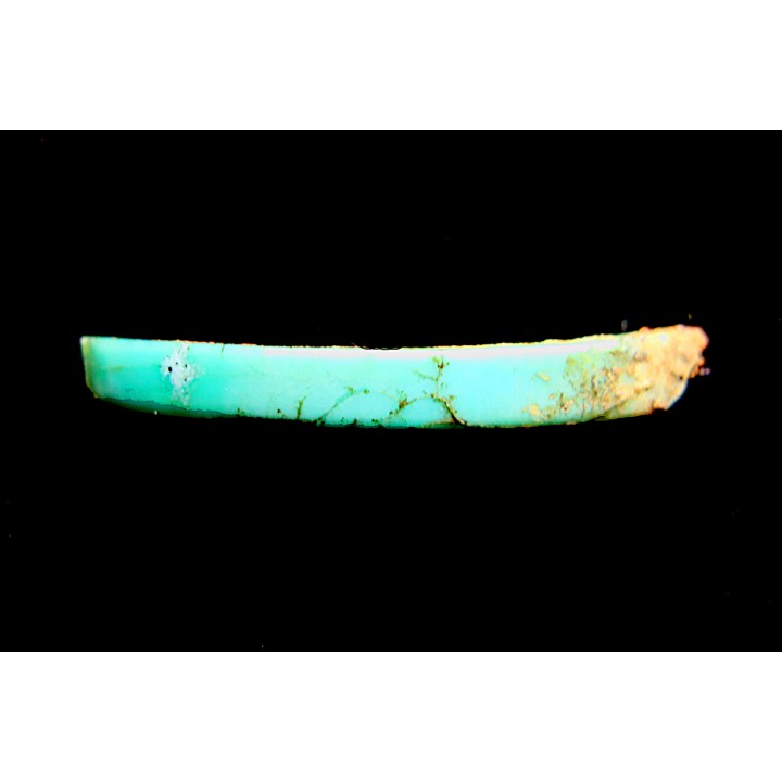 Lot d'os de mammifères pseudomorphosés en TURQUOISE odontolite - pléistocène - Potosi Mountain  Nevada, USA