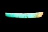 Lot d'os de mammifères pseudomorphosés en TURQUOISE odontolite - pléistocène - Potosi Mountain Nevada, USA