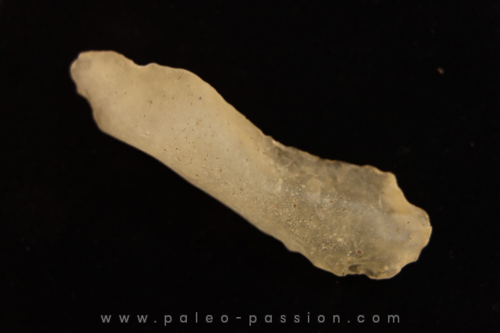 TECTITE: verre libyque - (outil taillé)