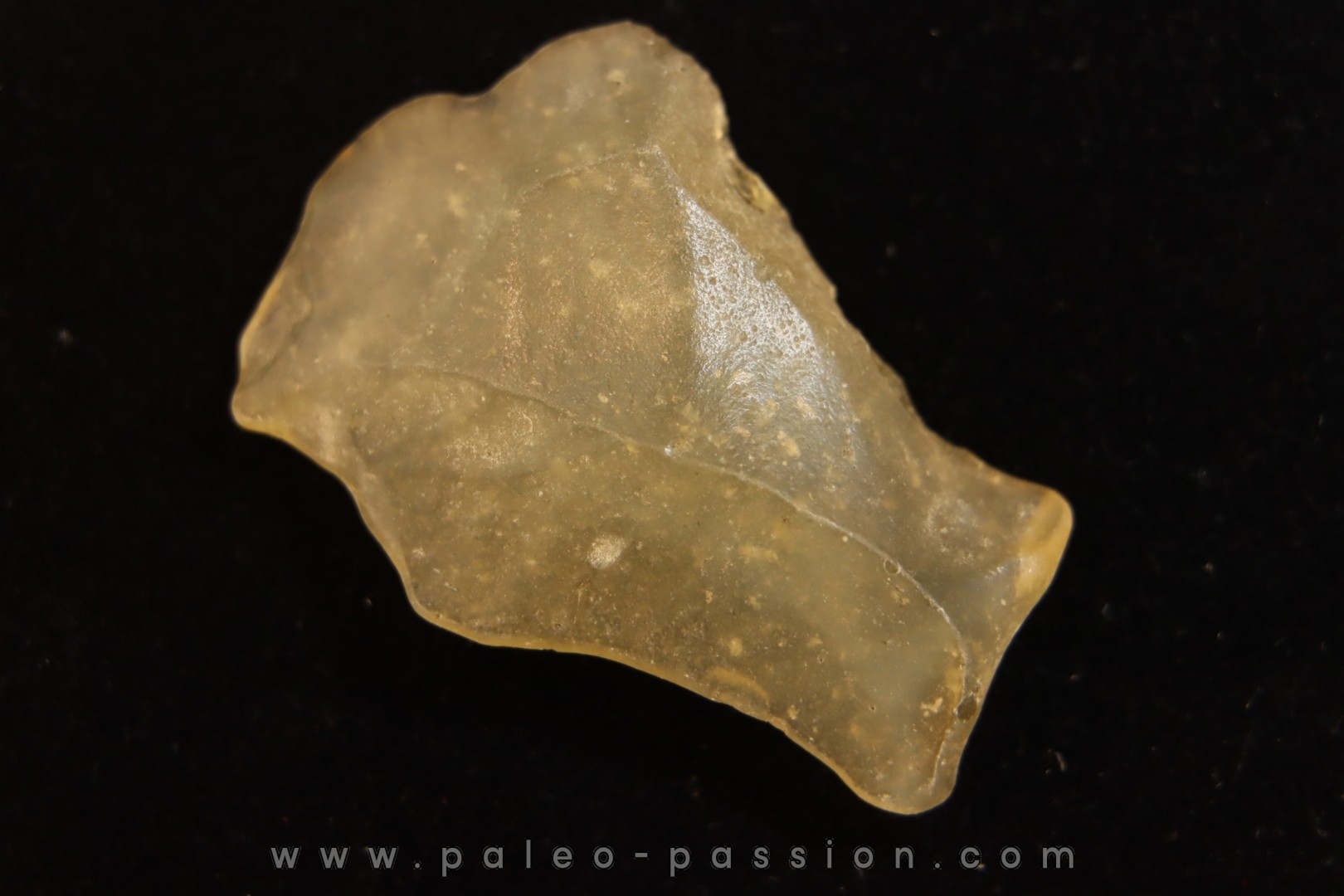 TECTITE: verre libyque - (outil taillé)