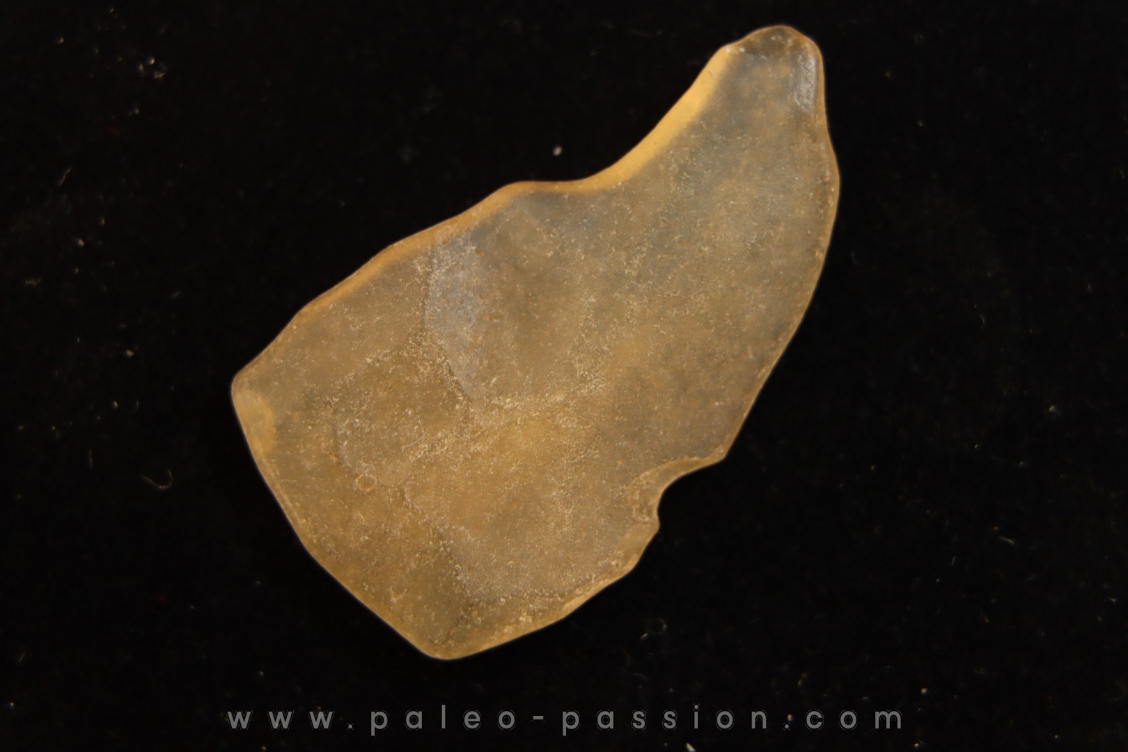 TECTITE: Libyan glass - ARTIFACT