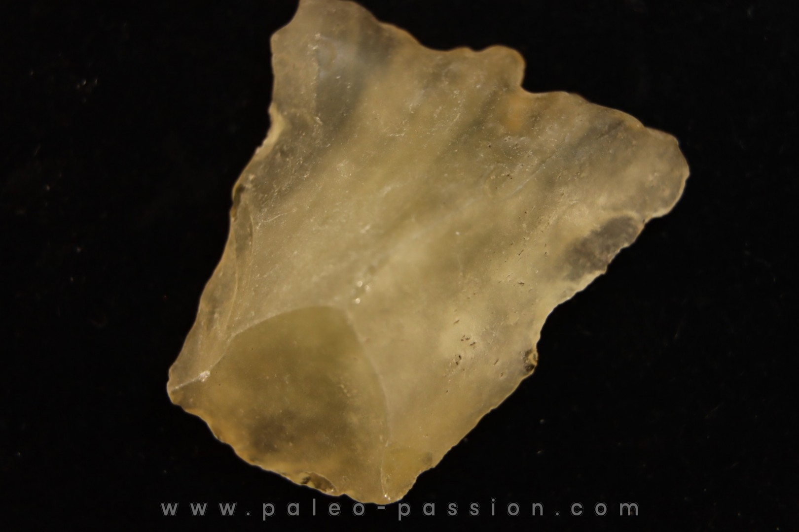 TECTITE: Libyan glass - ARTIFACT